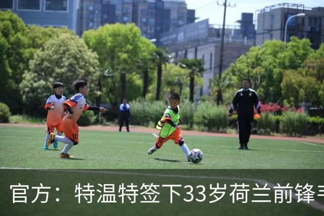 官方：特温特签下33岁荷兰前锋韦霍斯特，双方签约2年