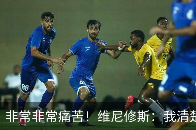 非常非常痛苦！维尼修斯：我清楚巴西很多没夺冠了，向球迷们致歉